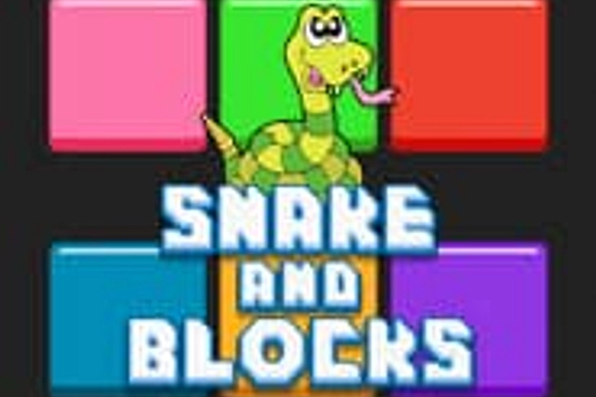 Snake and Blocks