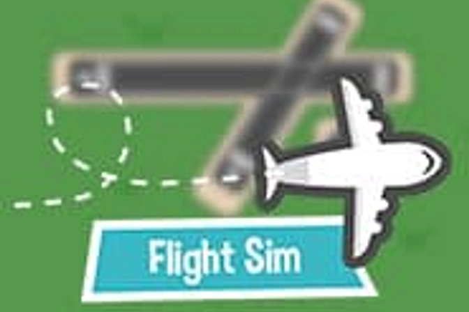 Flight Sim